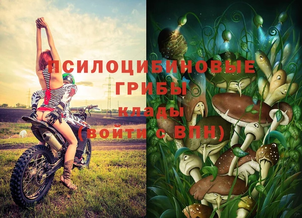а пвп мука Арсеньев