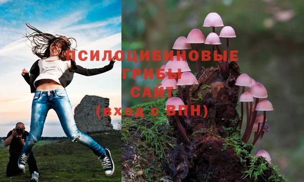 первитин Армянск