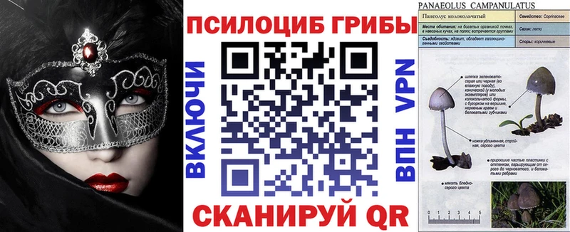 сколько стоит  Славск  Псилоцибиновые грибы MAGIC MUSHROOMS 