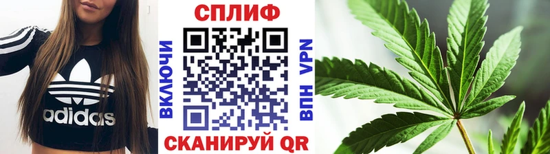 Каннабис AK-47  Славск 
